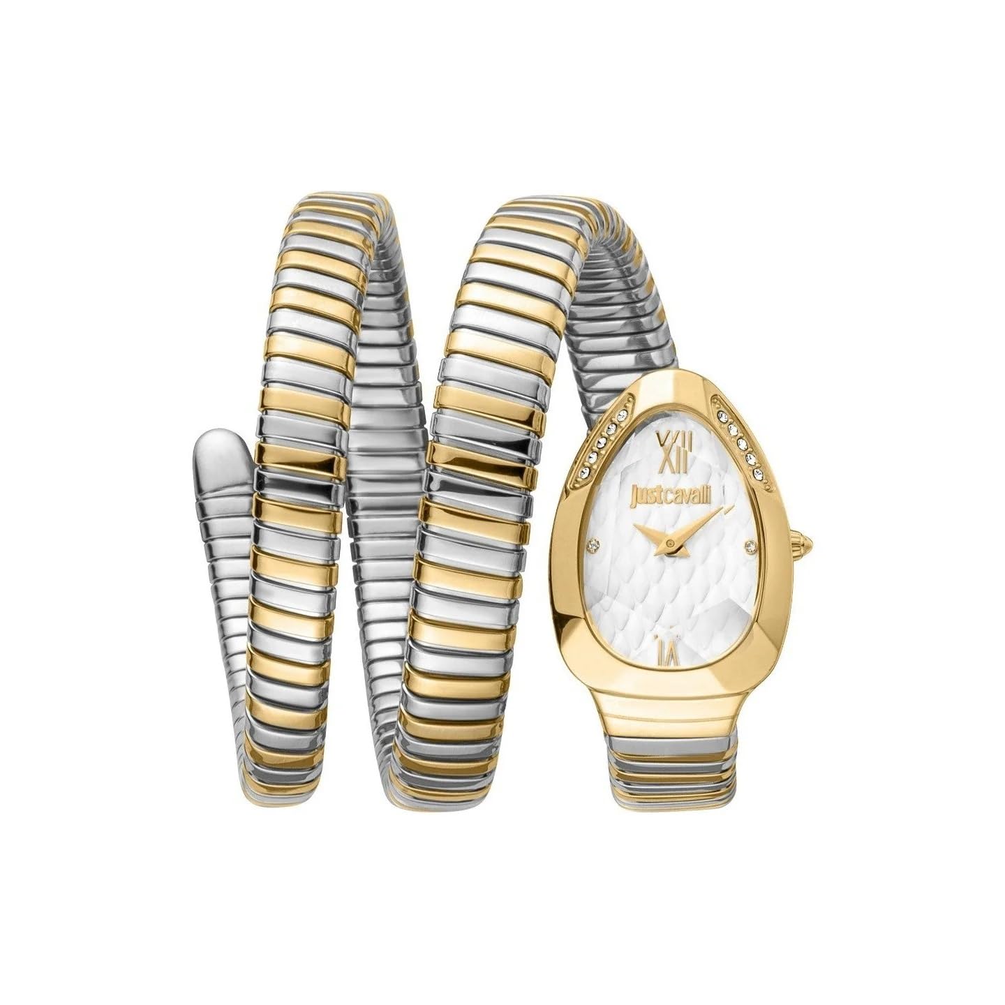 Just.CavalliGlam Evo 9 Family Glam Womens Watch JC1L224M0065 (B0D9SFQJXM) Amazon Price History, Amazon Price Tracker