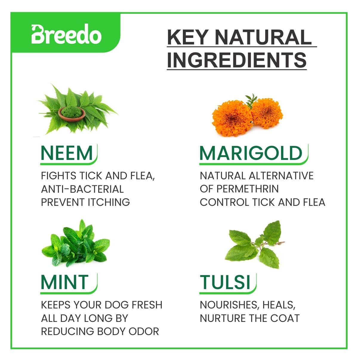 Breedo Tick and Flea Powder for Dogs and Cats (150g) (Pack of 1) | Dog Ticks Powders | Powder for Persian Cat | Pomeranian, Shih Tzu, German Shepherd, Labrador, Golden Retriever. 2