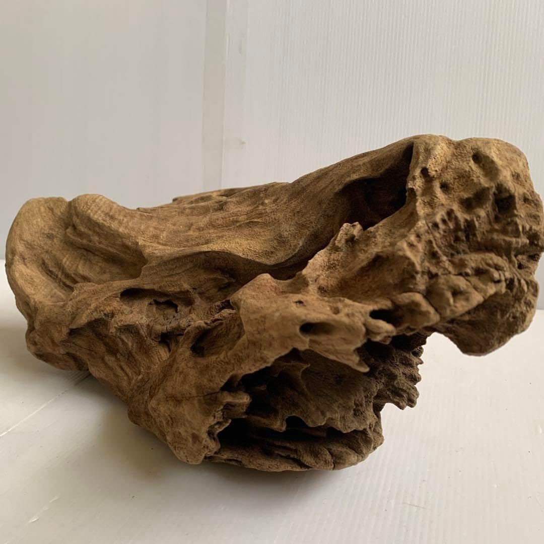 アク抜き済み流木 No.378 レア型 ずっしり アク抜き済み流木 No.268