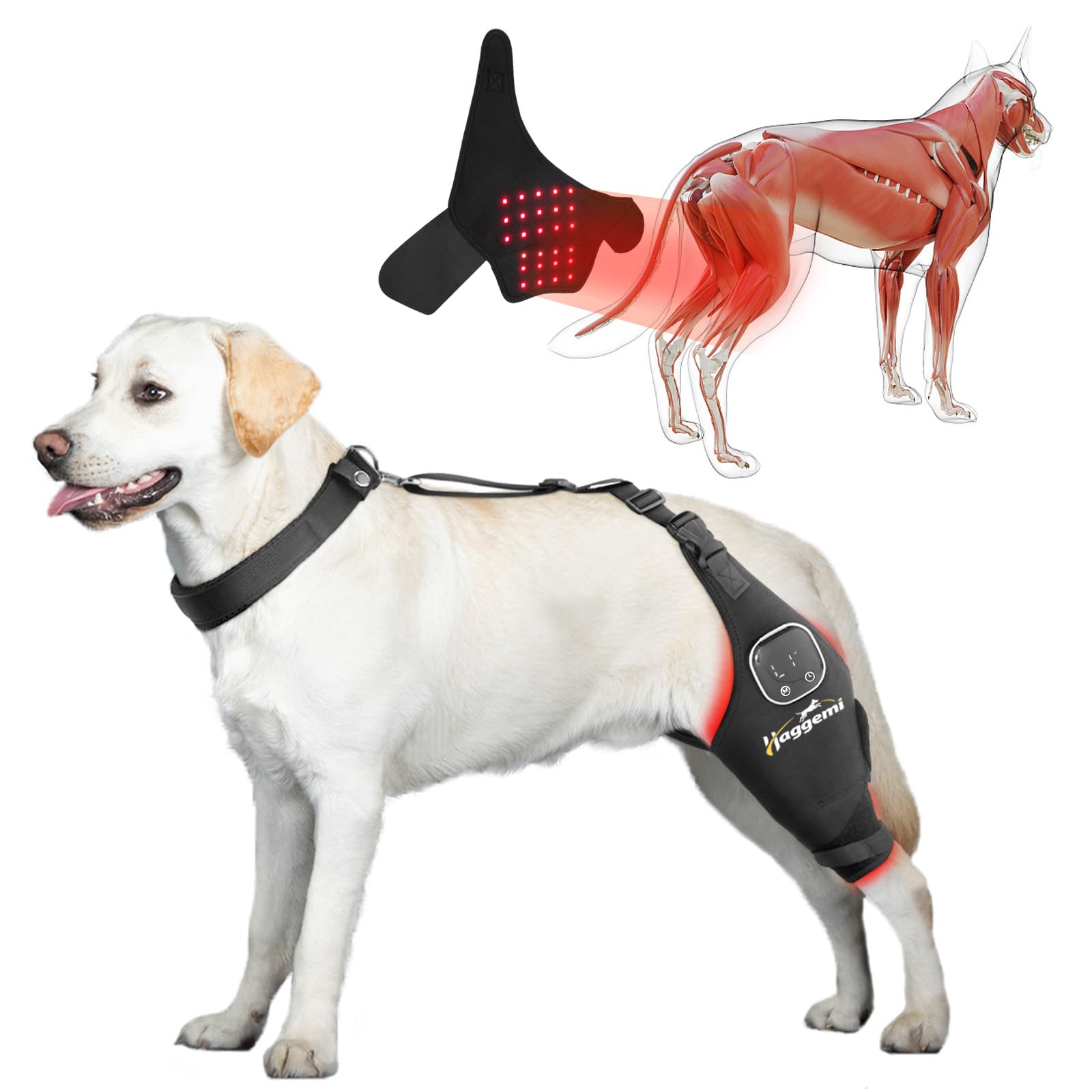 Photo 1 of Dog Knee Brace for ACL Support, Red & Infrared Light Therapy?Left leg,L?