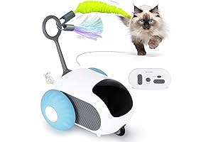 Amazing Cat Toys for Indoor Cats: Engage Your Kitty's Inner Hunter
