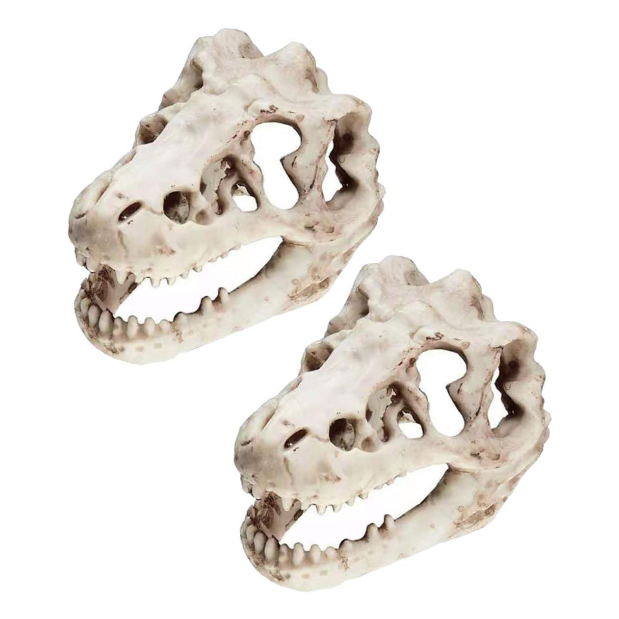 Amazon.co.jp: Gatuida 2個 恐竜樹脂頭蓋骨 トカゲハンモック