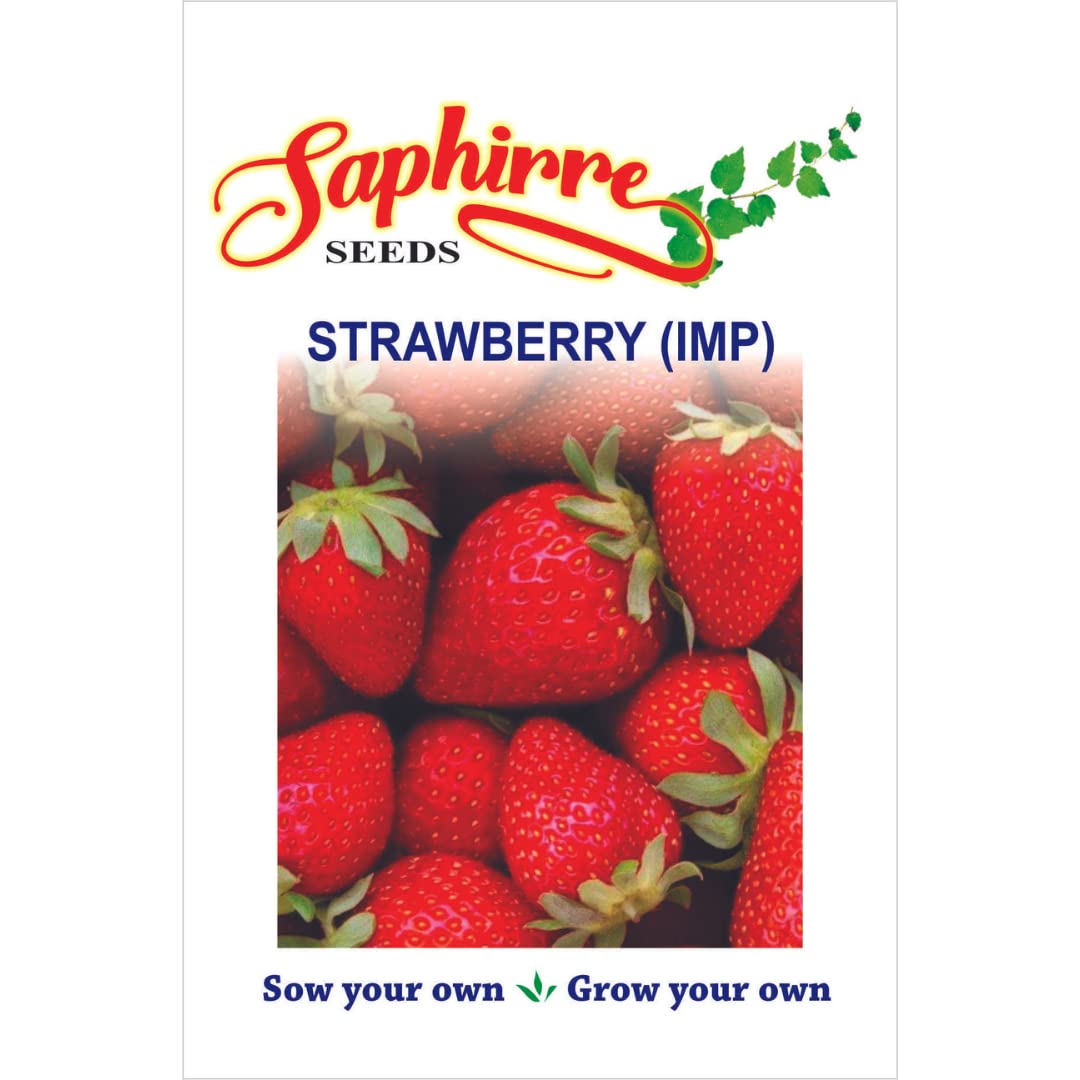 Saphirre Seeds Strawberry Seeds (100+ Seeds Per Packet)