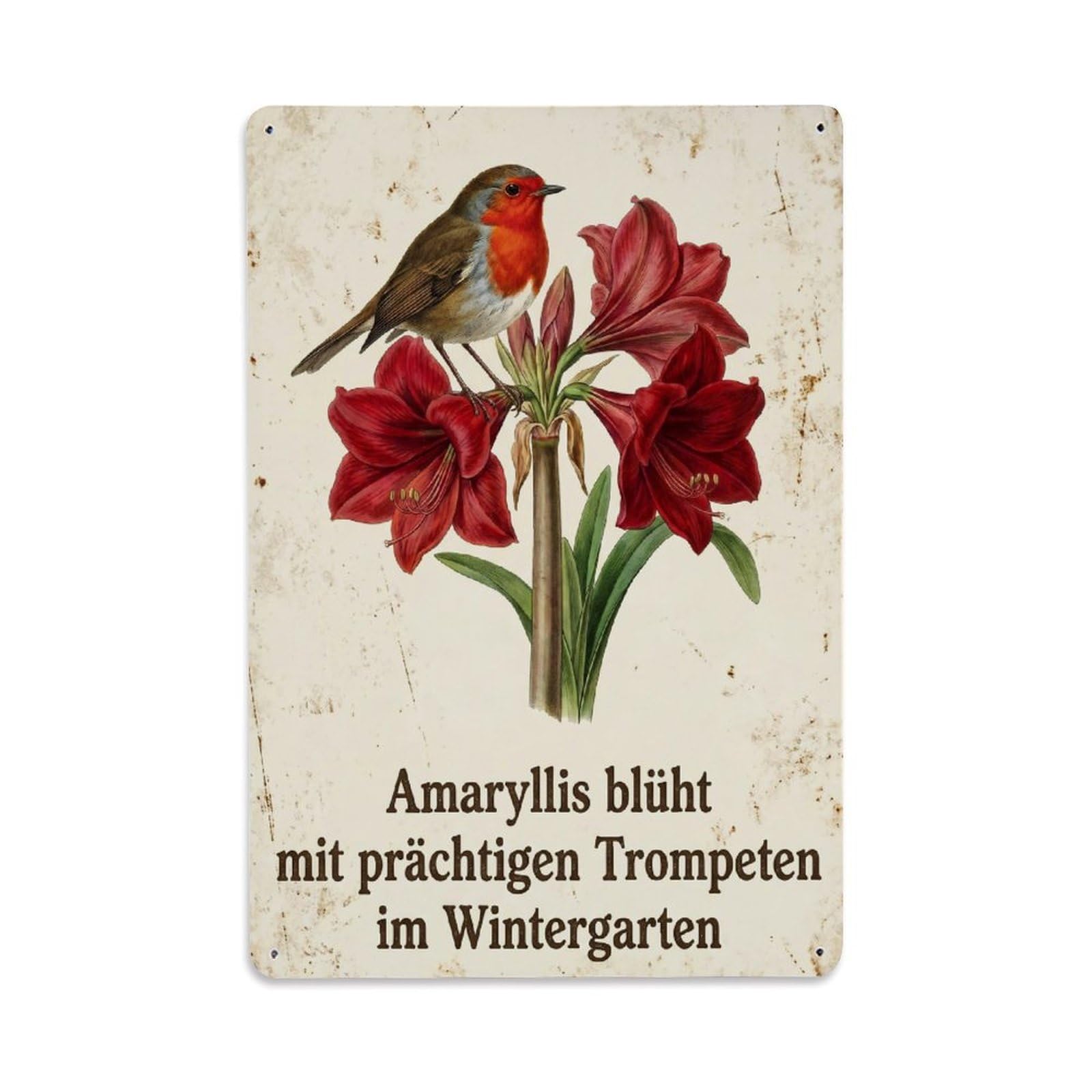Robin Bird Garden Quote Amaryllis Bold Metal Tin Sign