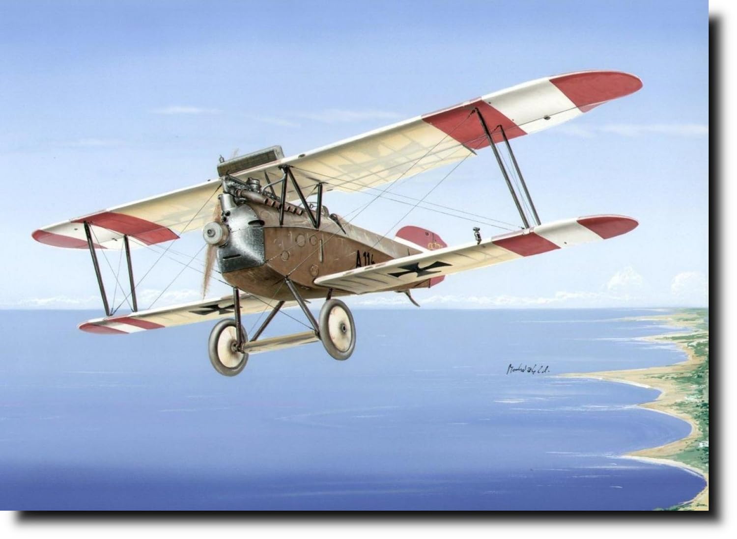 Amazon | スペシャルホビー 1/48 オーストリア フェニックス D.1 複葉
