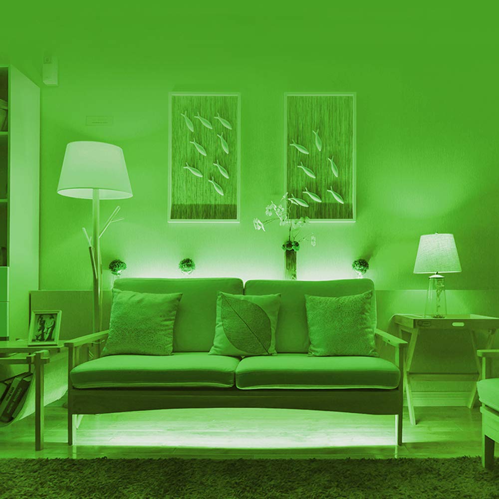 INextStation Striscia LED Verde 5M, 12V SMD2835 Nastro LED Con - Foto 5