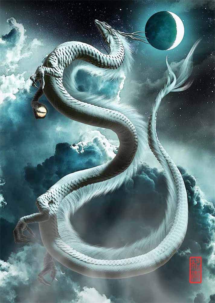 Amazon.co.jp: 龍の絵 「三日月と白龍1」 A3 竜の絵 : ホーム＆キッチン