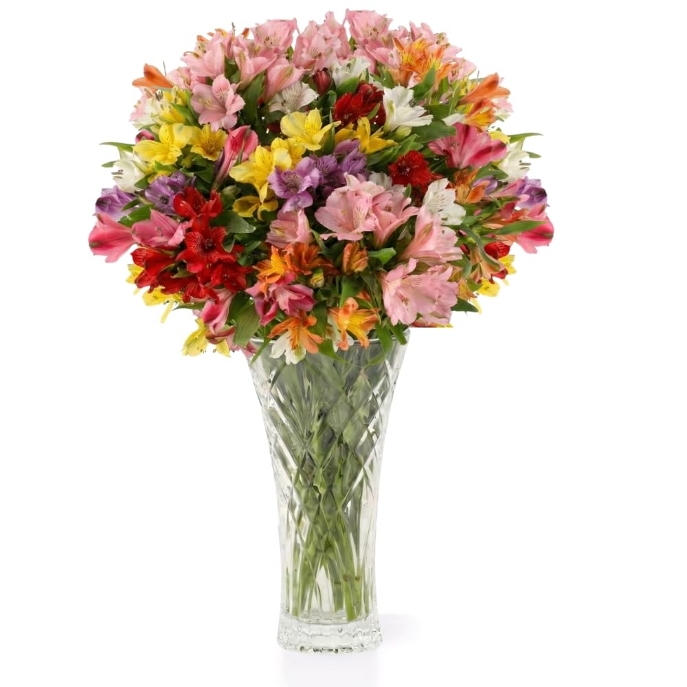 Aquarossa Farms Peruvian Lilies