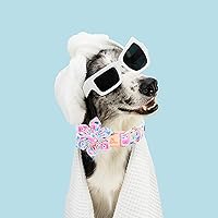 Vista 136 de Lionheart glory Collar de perro con bandera estadounidense, collar de flores para perro del 4 de julio, resistente y ajustable, collar patriótico