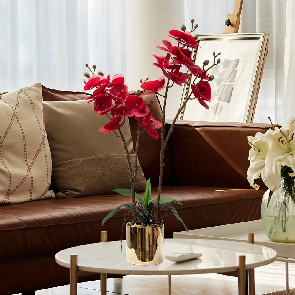 CXGS Künstliche Orchidee, Real Touch-Qualität, Kunstorchideen in Keramikvase, 50 cm, künstliche Phalaenopsis-Blumen, Kunstblumenarrangement für Tafelaufsatz, Heim- und Innendekoration, Rot