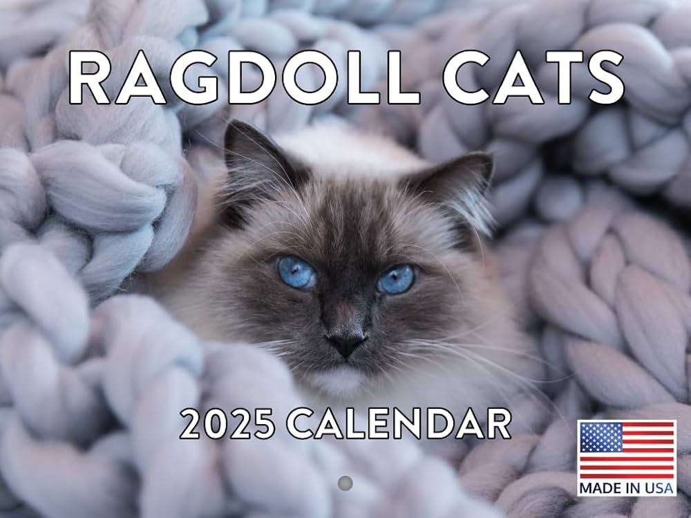 Amazon | Ragdoll 猫カレンダー 2024 壁掛けカレンダー