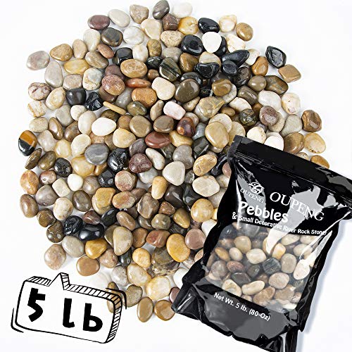 6 Best Aquarium Gravel Reviewed Aqua Movement