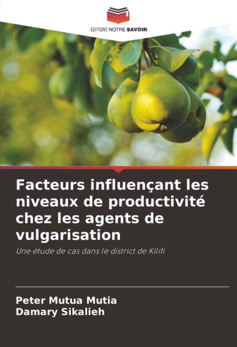 Facteurs influençant les niveaux de productivité chez les agents de vulgarisation: Une étude de cas dans le district de Kilifi