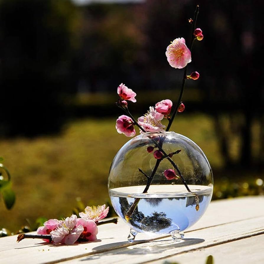Amazon｜水耕栽培植物 ガラス瓶 球状ガラス花瓶家の庭の装飾工場