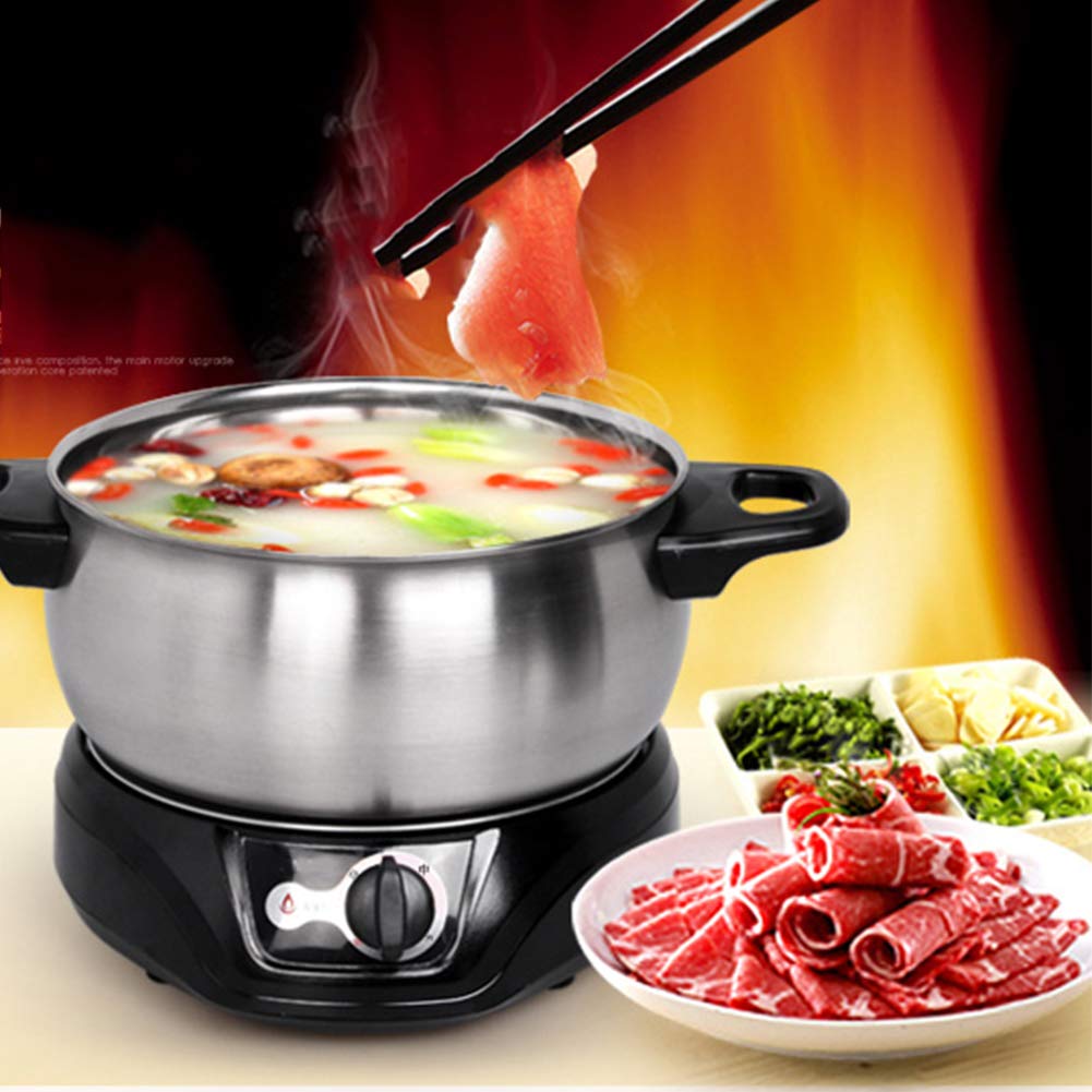 JTJxop Electric Skillet Pan with Lid, Electric Hot Pot, Professional Stainless Steel Multi-Function Electric Cooker, Easy to Clean, 1000 Watts Power Temperature Control