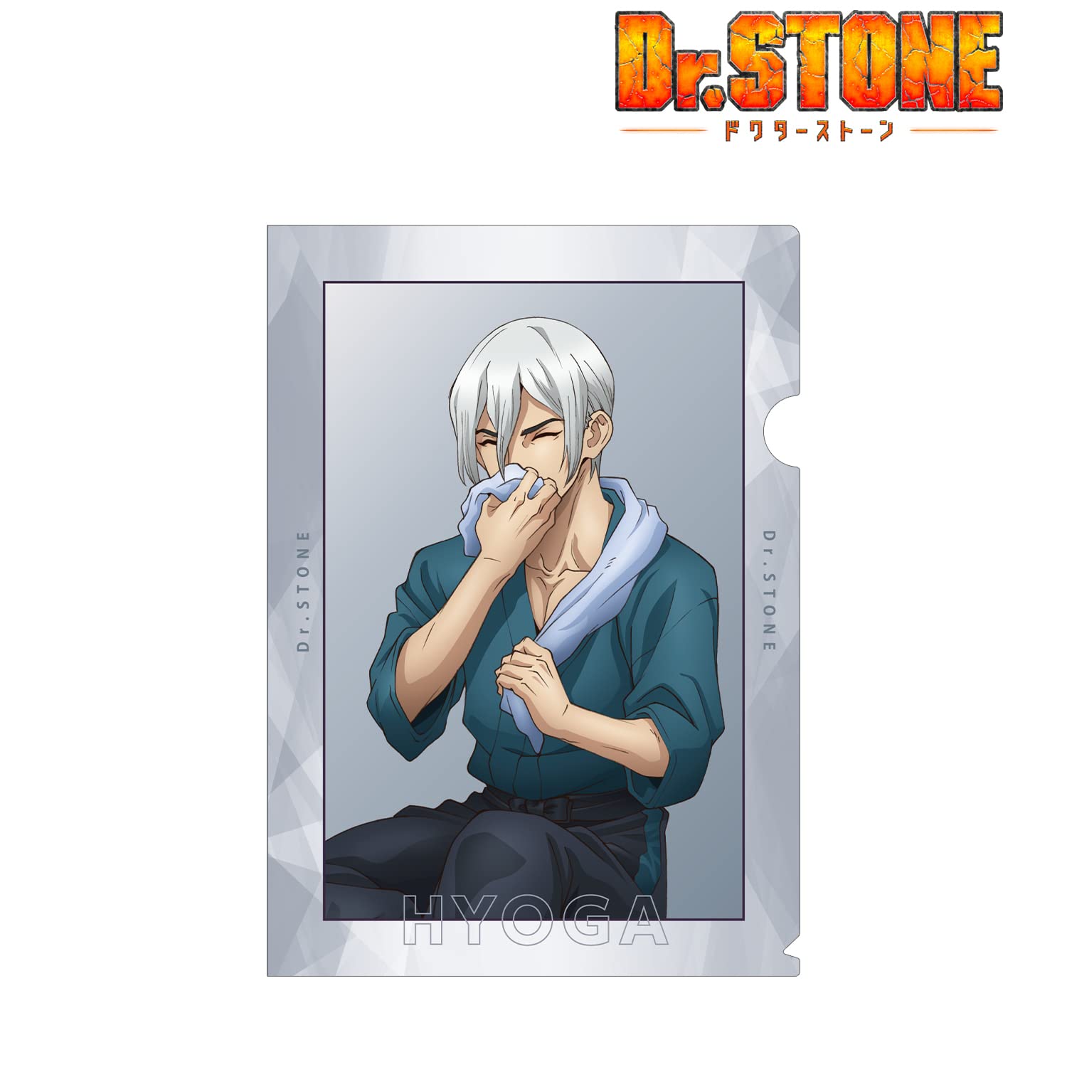 Amazon.co.jp: Dr.STONE 描き下ろしイラスト 氷月 石化前ver. クリア