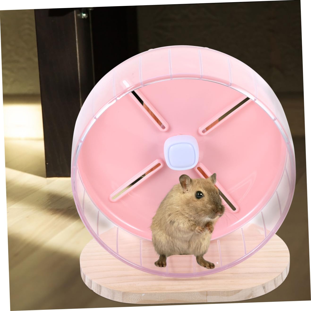 1 Ensemble Silencieuses pour Hamster et Chinchilla Support Adorable pour Animaux Silencieux et