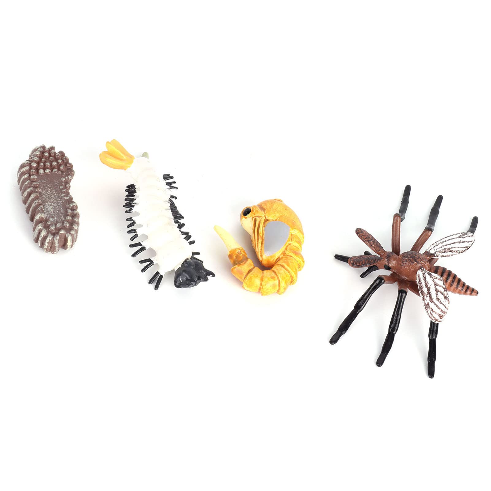 Insekten-Lebenszyklus-Figuren, Pädagogisches -Moskito-Ameisen-Wachstumsmodell, Spielzeug für, Schulprojekte, 4 Stück (M4184 Mücke (31,6 g))