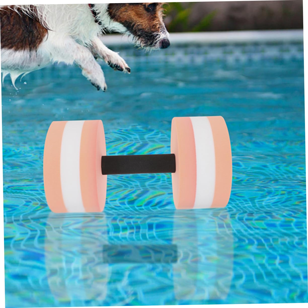 Eva Wasserhanteln für Poolübungen, Pack, für Erwachsene