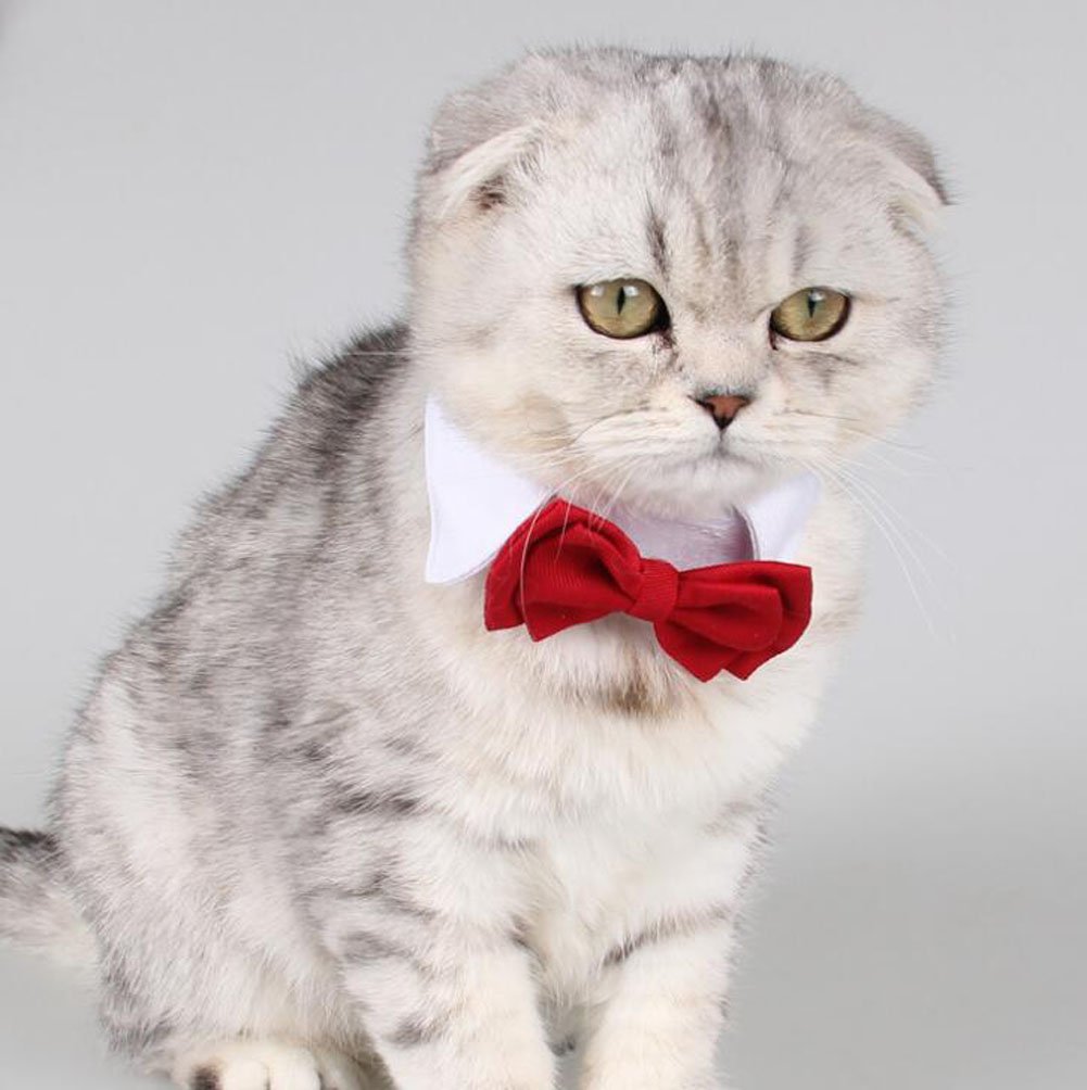 2 Pezzi Piccolo Cane Gatto Cotone Collare Regolabile Cravatta a Farfalla Animale Domestico Formale Bowknot (S)