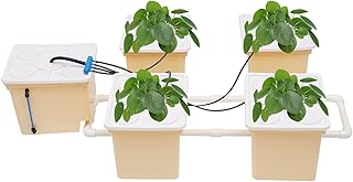 5 Topfpflanzen Hydroponisches Zuchtsystem System Hydroponischer Eimer Kit 11L FüR Zuhause Indoor-GemüSepflanzer GartenbewäSserungssystem Geeignet GewäChshaus Garten Balkon BüRo Garage