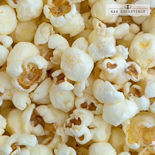 Miniatura 4 de Polvo de queso cheddar blanco, rico y cremoso, añade un toque de queso a salsas, sopas y adobos, sin OMG, sin gluten, botella de 10 onzas