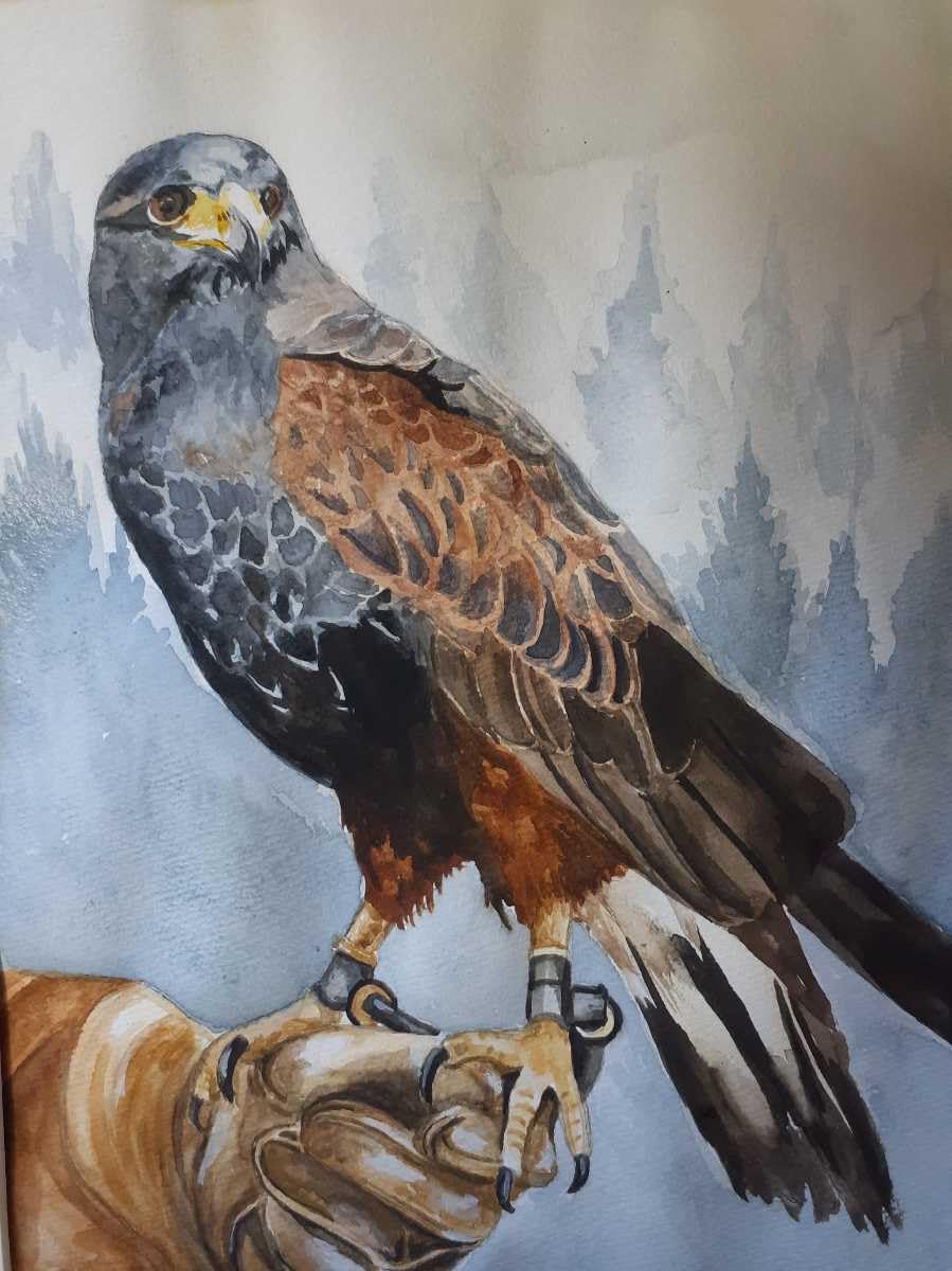 水彩画　鷹匠 鷹(水彩画、額あり)