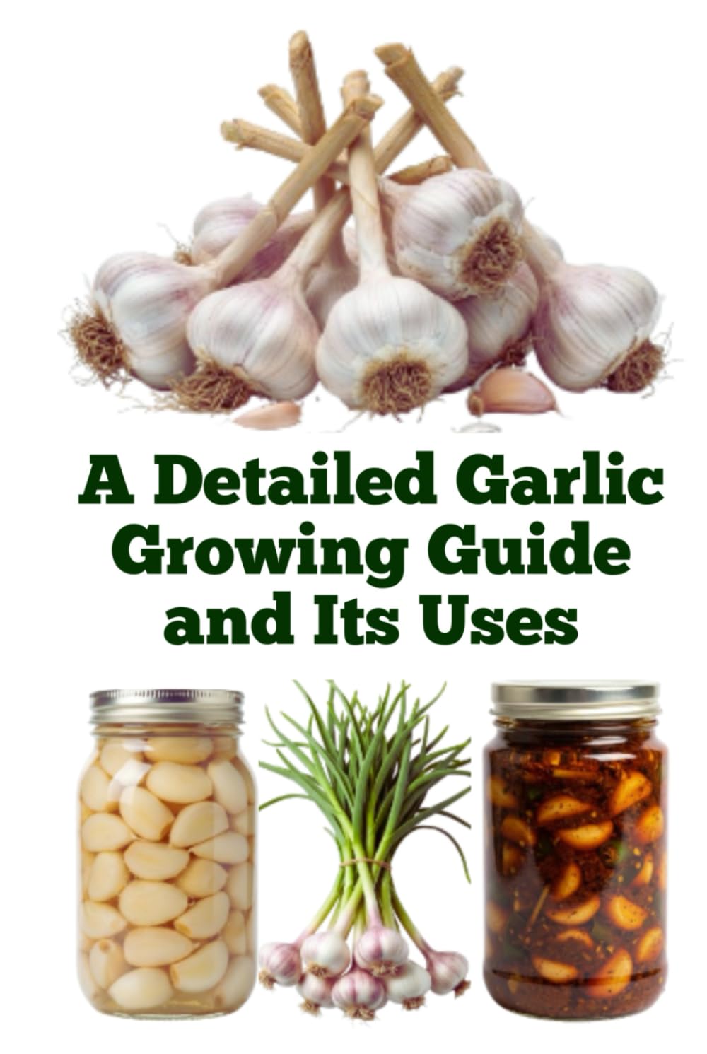 A Detailed Garlic Growing Guide and Its Uses (A Detailed, Informative Series on Homesteading)