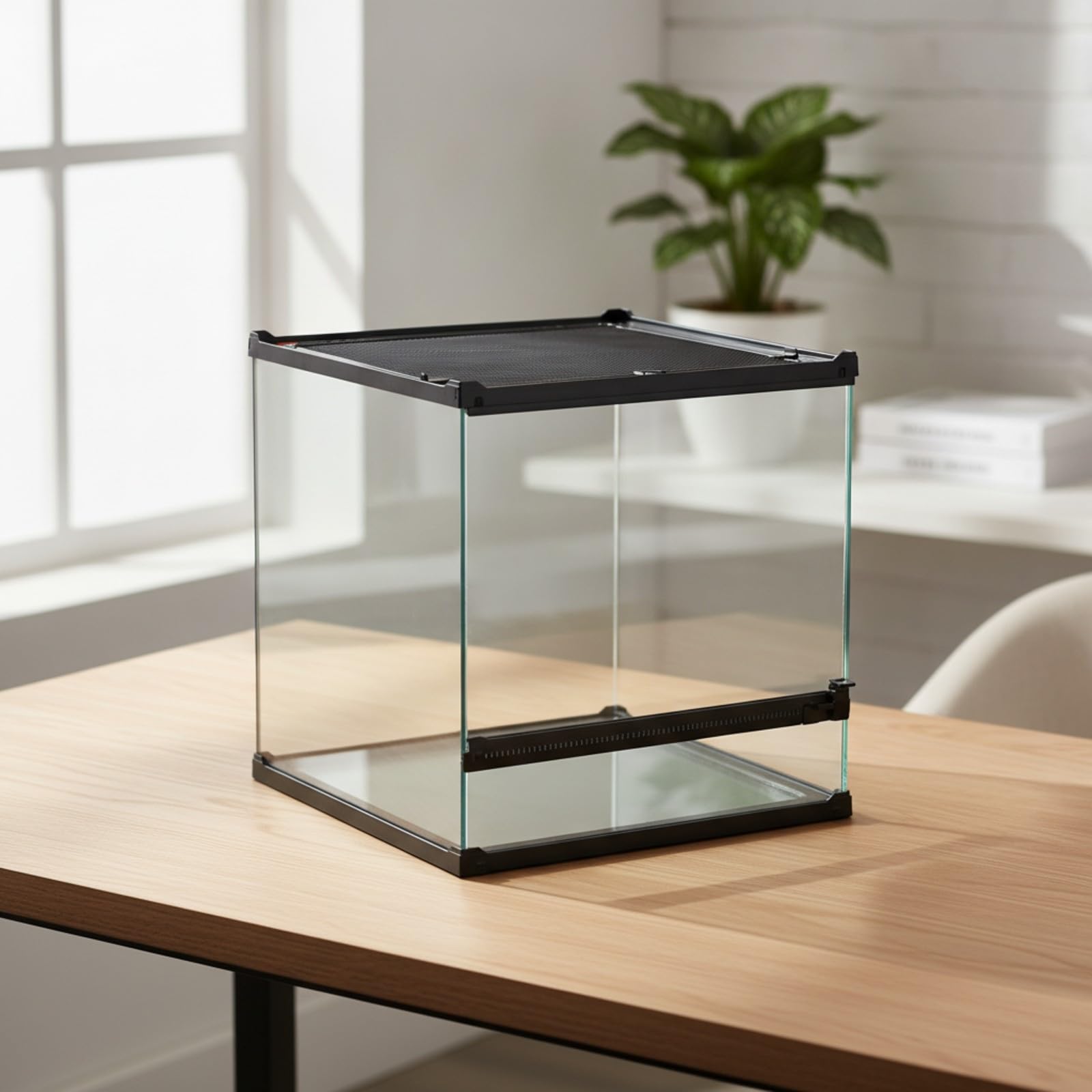 Terrarium en Verre, 40 40 40