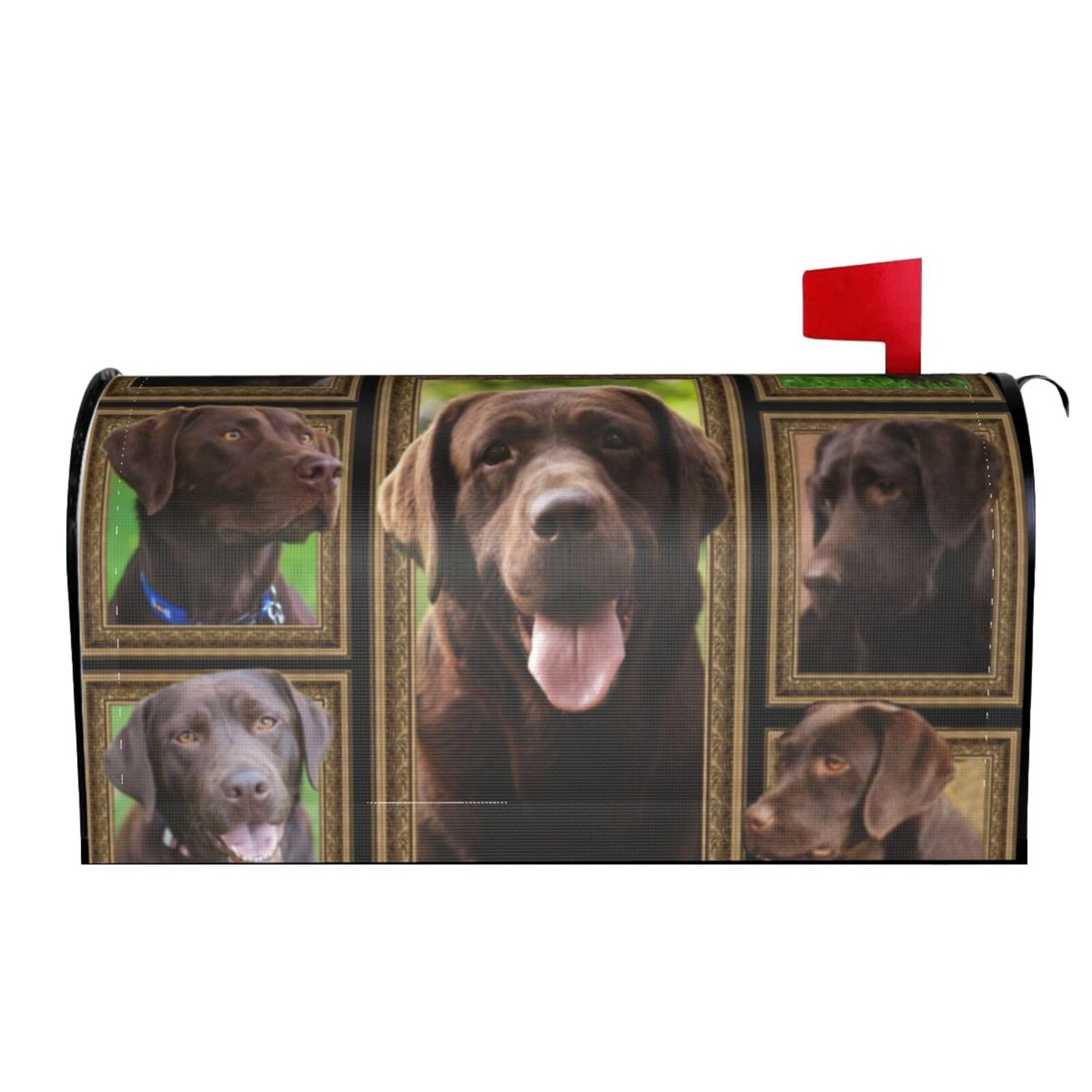 Xsovgoi Chocolate Labrador Magnetic Mailbox Cover Standard Size Post Box for Outdoor Garden Yard Home Decor 21x18 in