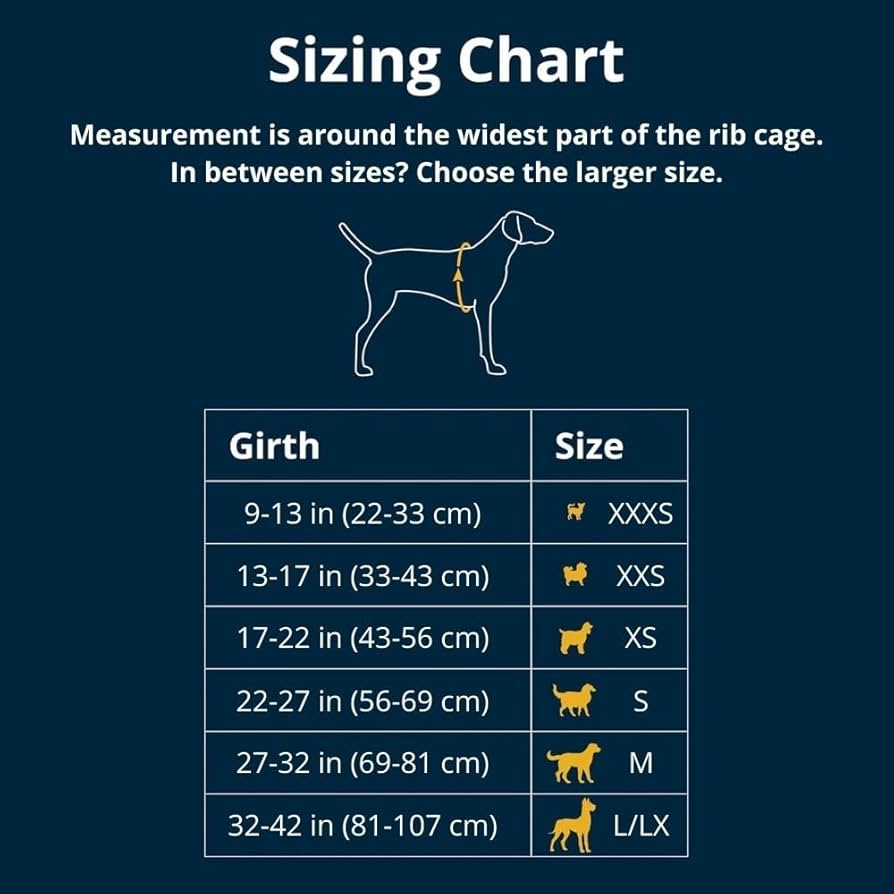 RUFFWEAR Hi & Light Dog Harness Mサイズ Hi & Light™ Lightweight Dog Harness | Ruffwear