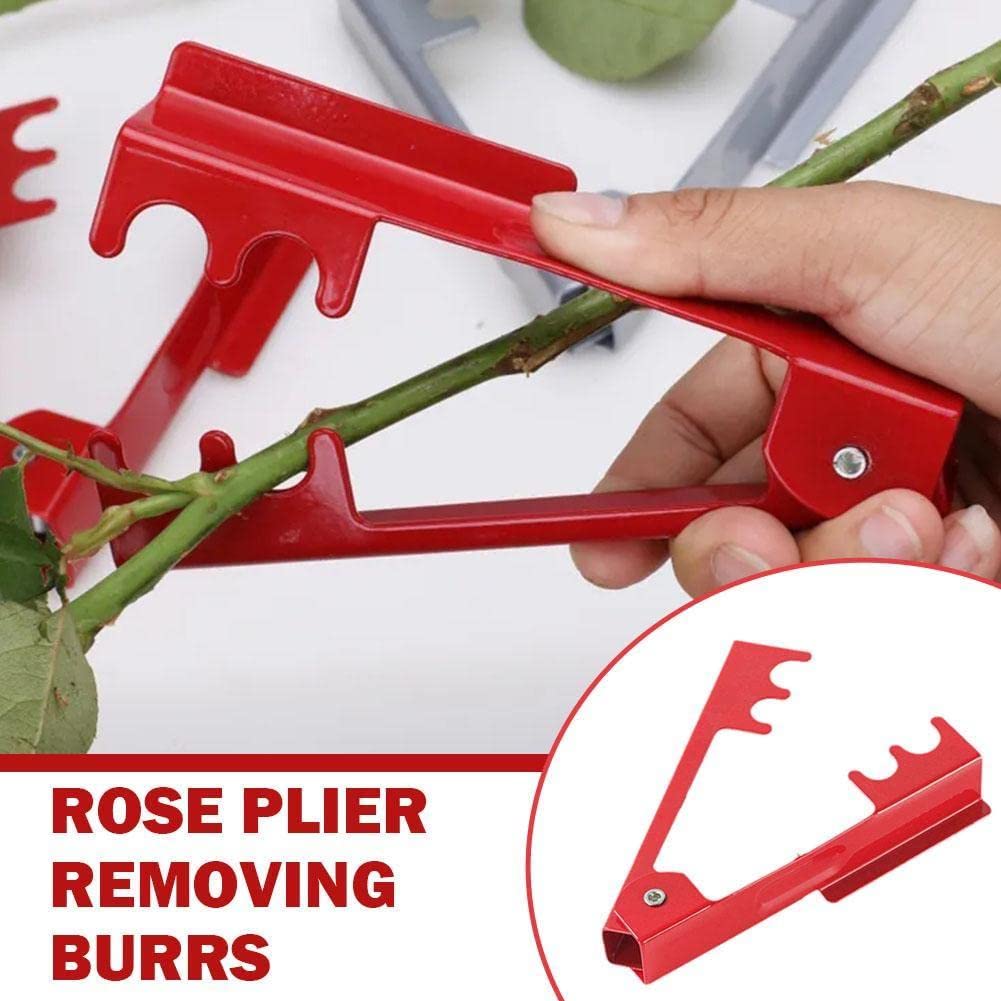 1 pince en métal pour enlever les roses, les épines, les tiges et les feuilles de roses, les fleuristes Q2L2