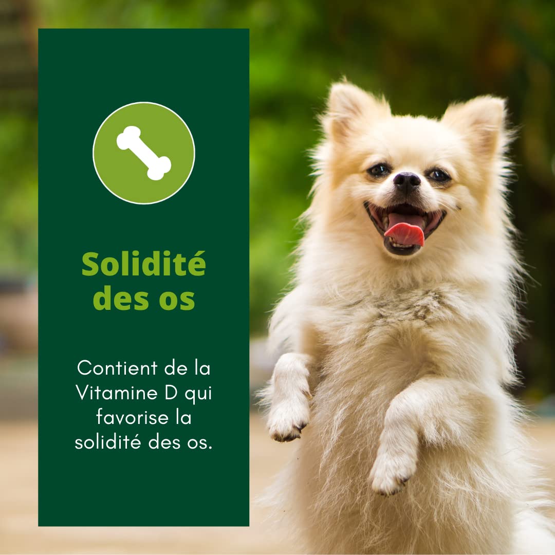 EQUILIBRE & INSTINCT - Chien Adulte - Petite Taille - Croquettes à la Volaille - Solidité des Os - Recette Complète Formulée avec des Vétérinaires - 5kg - Fabriqué en France