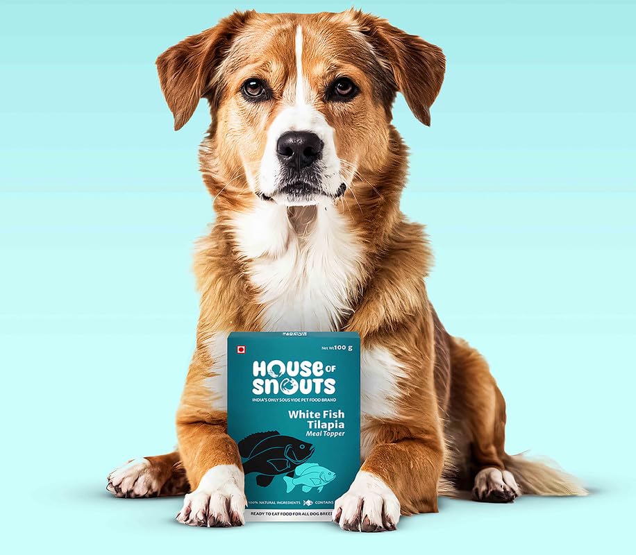House of Snouts White Fish Tilapia Topper | Natural Protein-Rich Dog Food Topper | Omega-3 & Nutrient Packed | Grain-Free & Ready-to-Serve (Pack of 2) (150 Grams + 150 Grams) 1