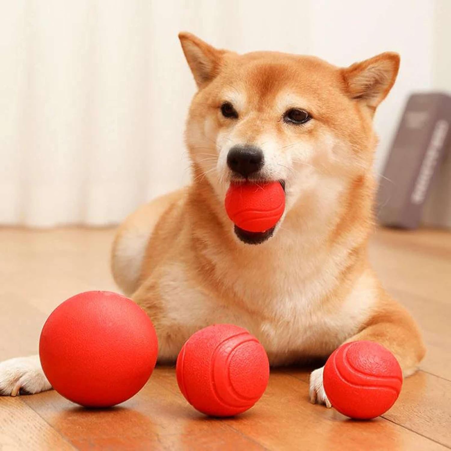 Solid Rubber Balls Bouncy Ball Bite Resistant Indestructible Dog Training Interactive Ball