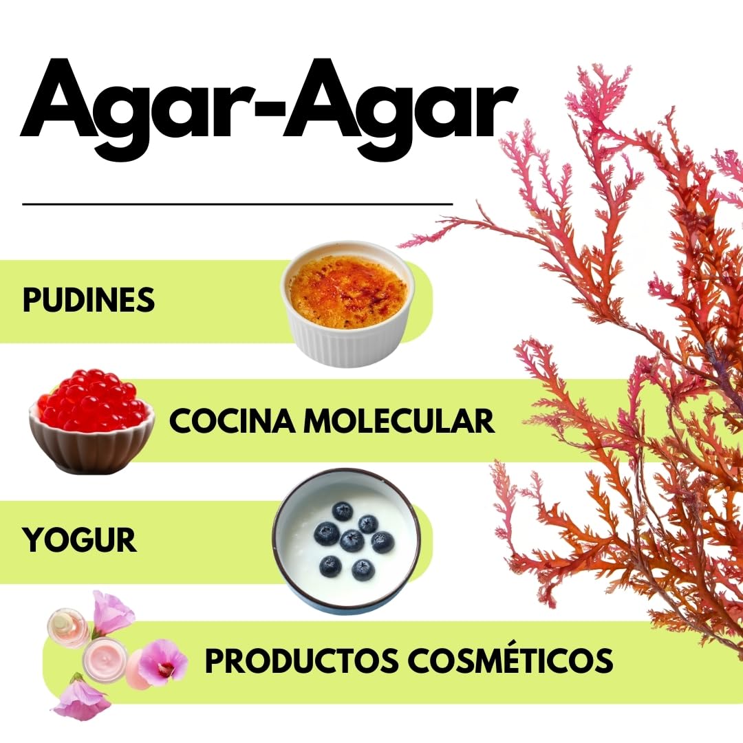 SaporePuro AGAR AGAR en polvo 1 kg – Gelificante natural SIN GLUTEN – Ideal para cocina molecular, espesante para postres, mermeladas, flanes y helados