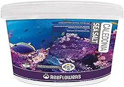 Reeflowers Sal Marinho Caledonia Sea Salt Balde 6 5Kg