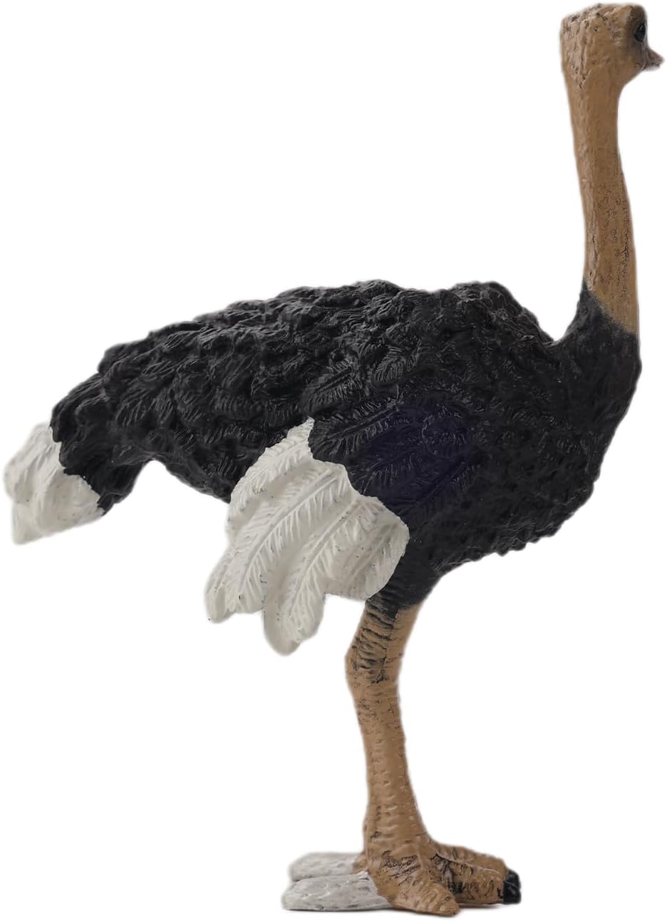 Andux Realistic Animals Figures Toys Marine Life Wild Jungle Learning Educational Playset FZDW-03 (Ostrich) OX117-120