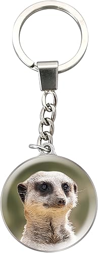 Miniatura 7 de Deluxebase Magnidome Keychain from Dome Shaped Picture Key Ring with Stainless Steel Chain. Crystal Glass Dome Key Chain