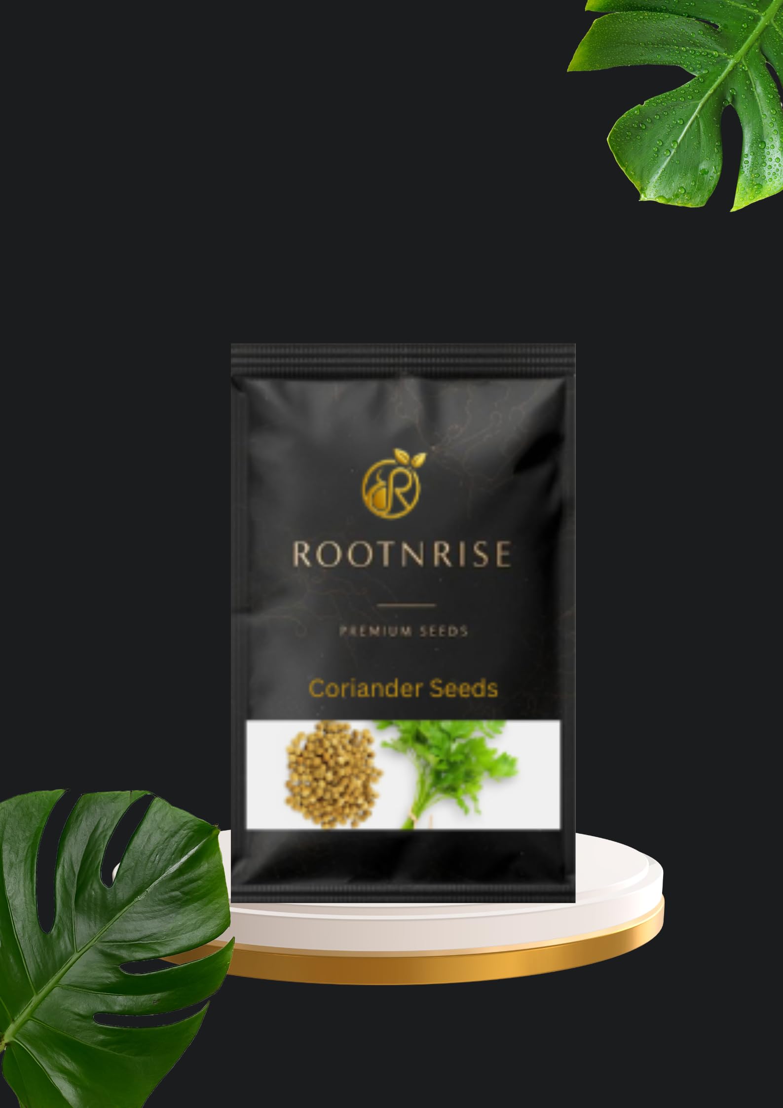 Coriander Seeds for Growing, 20g Pack, Indoor Herb Garden Kit with Growing Instructions 1500+ seeds