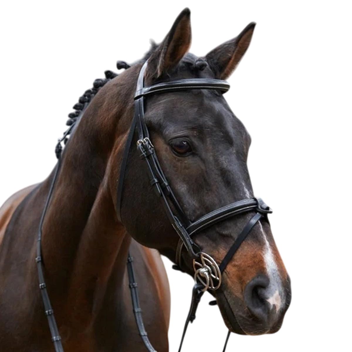 Whitaker WhitakerEastwood Pelle Briglia per Cavalli con Redini