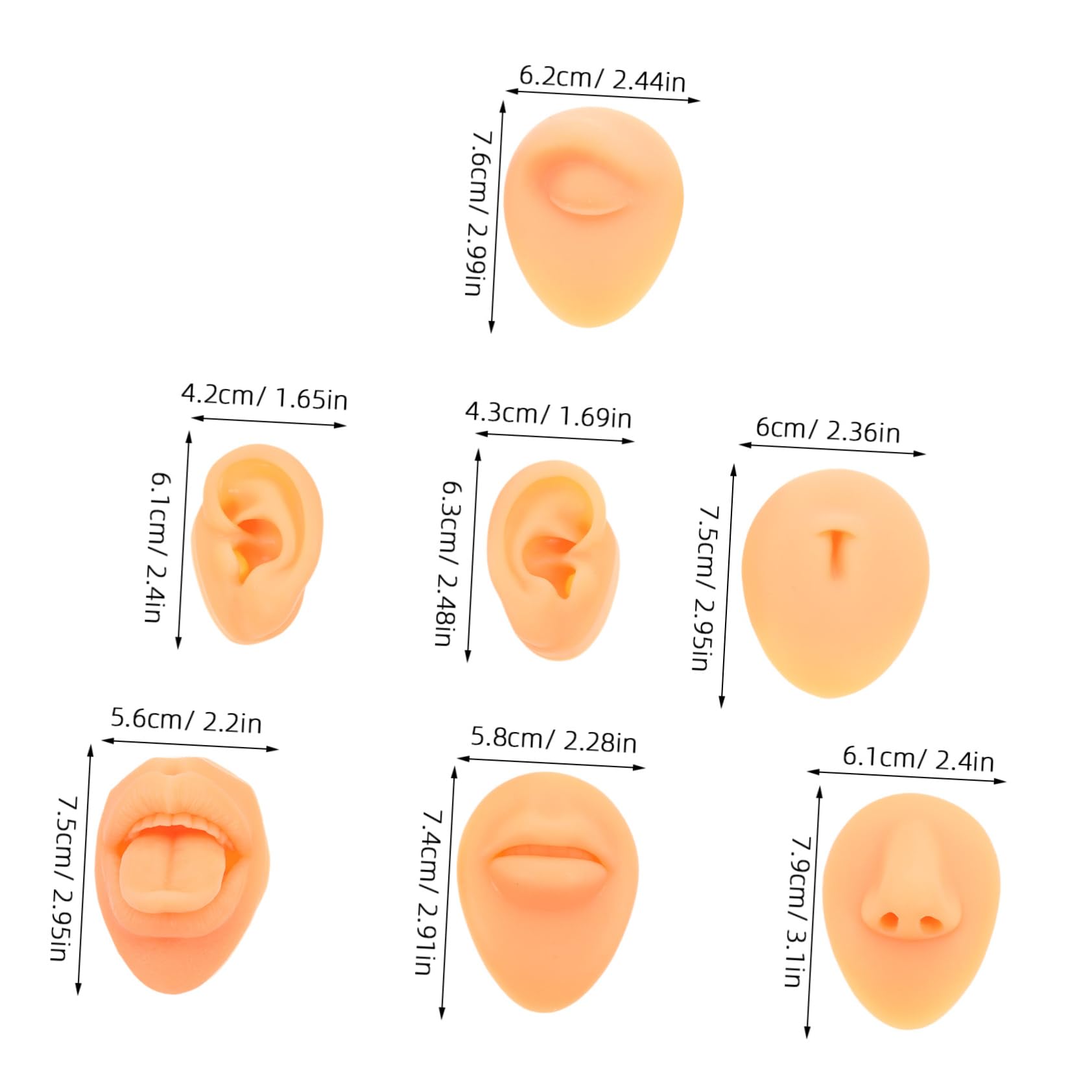 HAPINARY Piercing Practice Supplies 7pcs Silicone Face Model Ears Mouth Nose Tongue for Display and Training