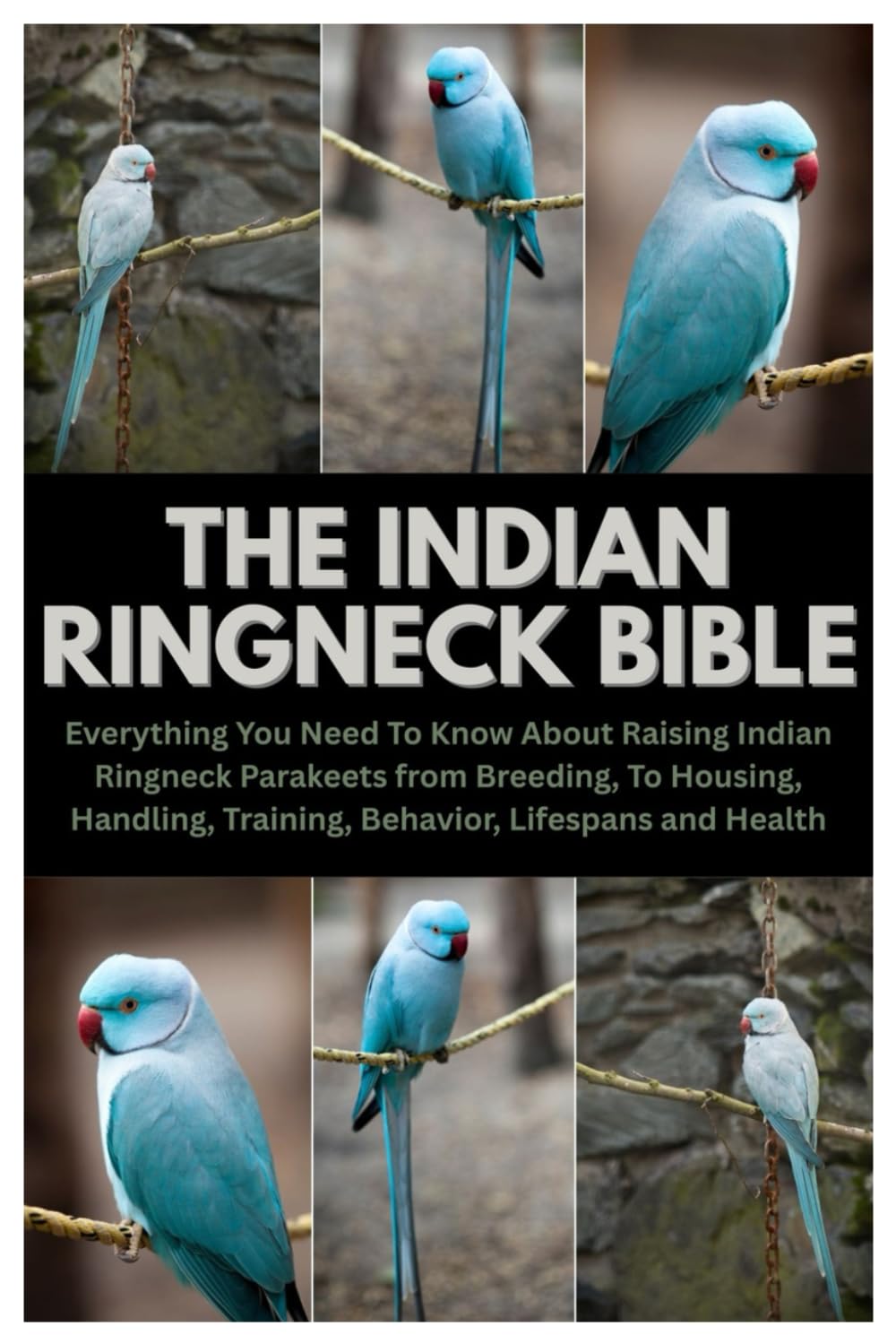 The Indian Ringneck Bible: Everything You Need To Know About Raising Indian Ringneck Parakeets from Breeding, To Housing, Handling, Training, Behavior, Lifespans and Health