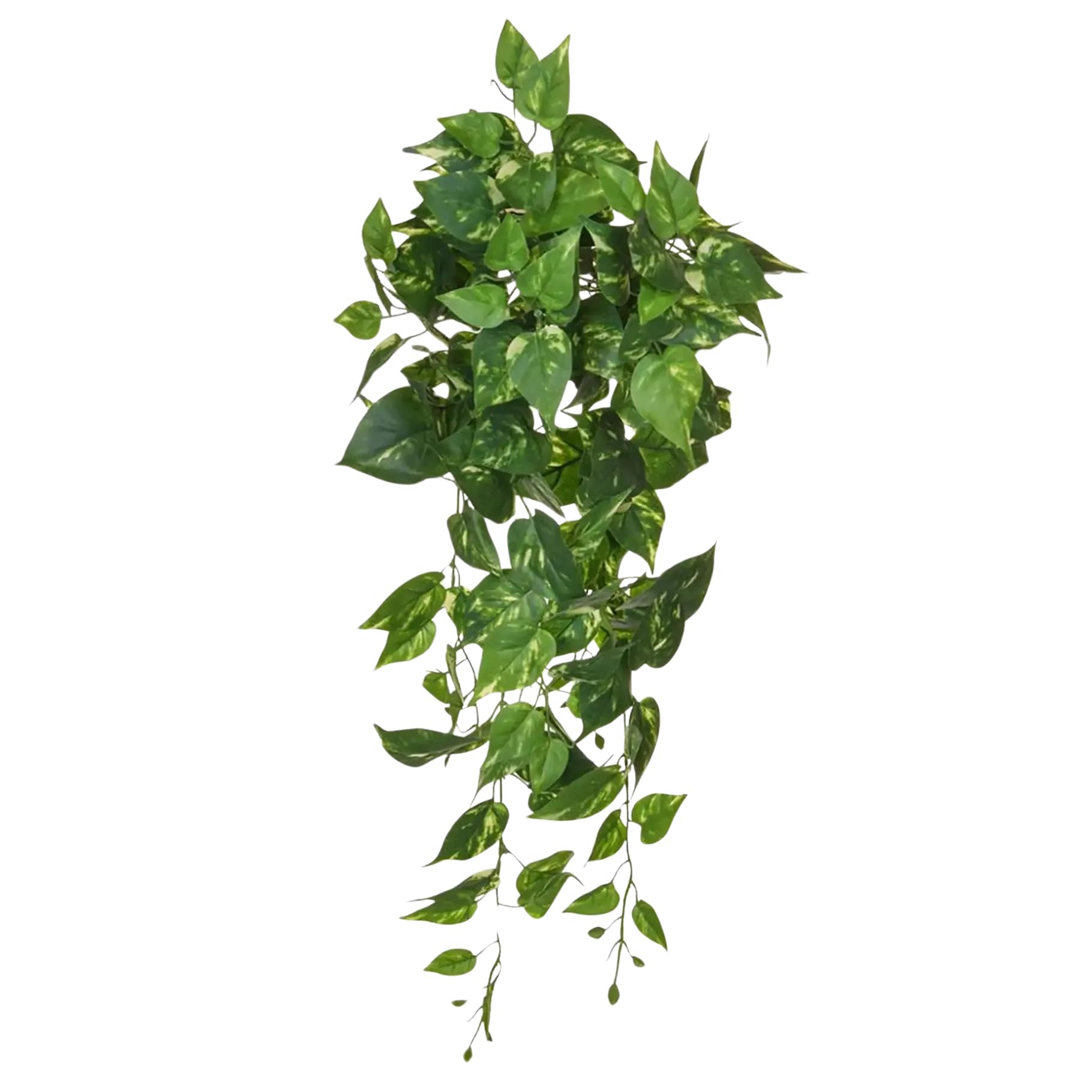 Amazon.de: aplanta Knstlicher Pothos - Walter | 80 cm, B1 Feuerhemmend,  fr drinnen, Kunstpflanze, wie echt, Allergiker geeignet, pflanzliche  Dekoration Praxis, Office & Wohnzimmer