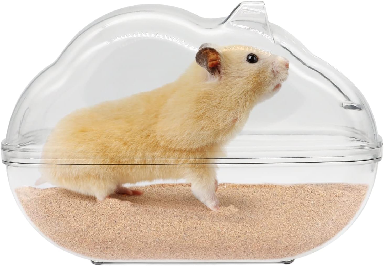 Hamster Bathroom -1