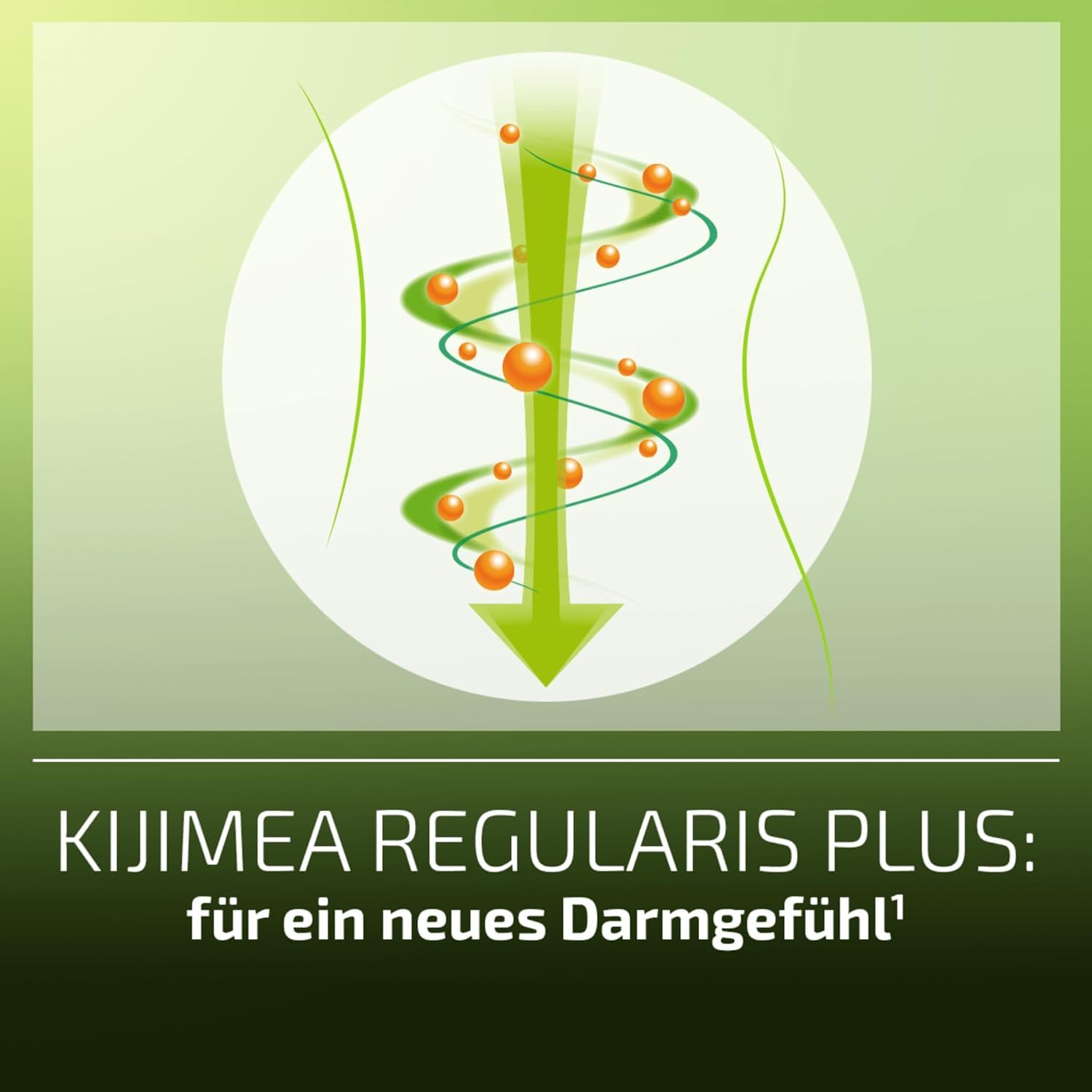 Kijimea® Regularis PLUS – für ein neues Darmgefühl | Mit erlesener Methylcellulose, natürlichen Flohsamenschalen und ausgewählten Bakterienstämmen, 525g