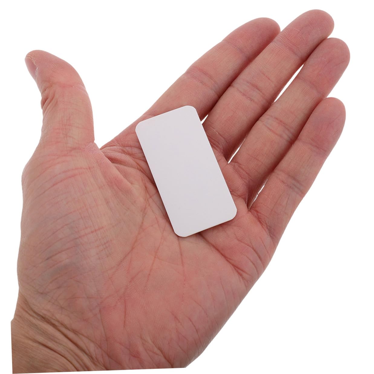 Cabilock 80pcs Portable Insect Display Boards 65x25mm Rounded Corner Thickened Butterfly Specimen Mounting Cards Science Lab Spreading Tools for Teaching and Experiment