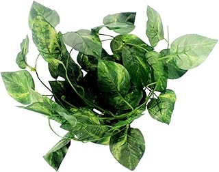 Hohopeti Decoração De Vime Decoração De Casa Decoração De Casa Decoração Para Casa Recipiente De Plástico Recipientes De Plástico Para Viagem Terrários Videiras Artificiais Para Animais De