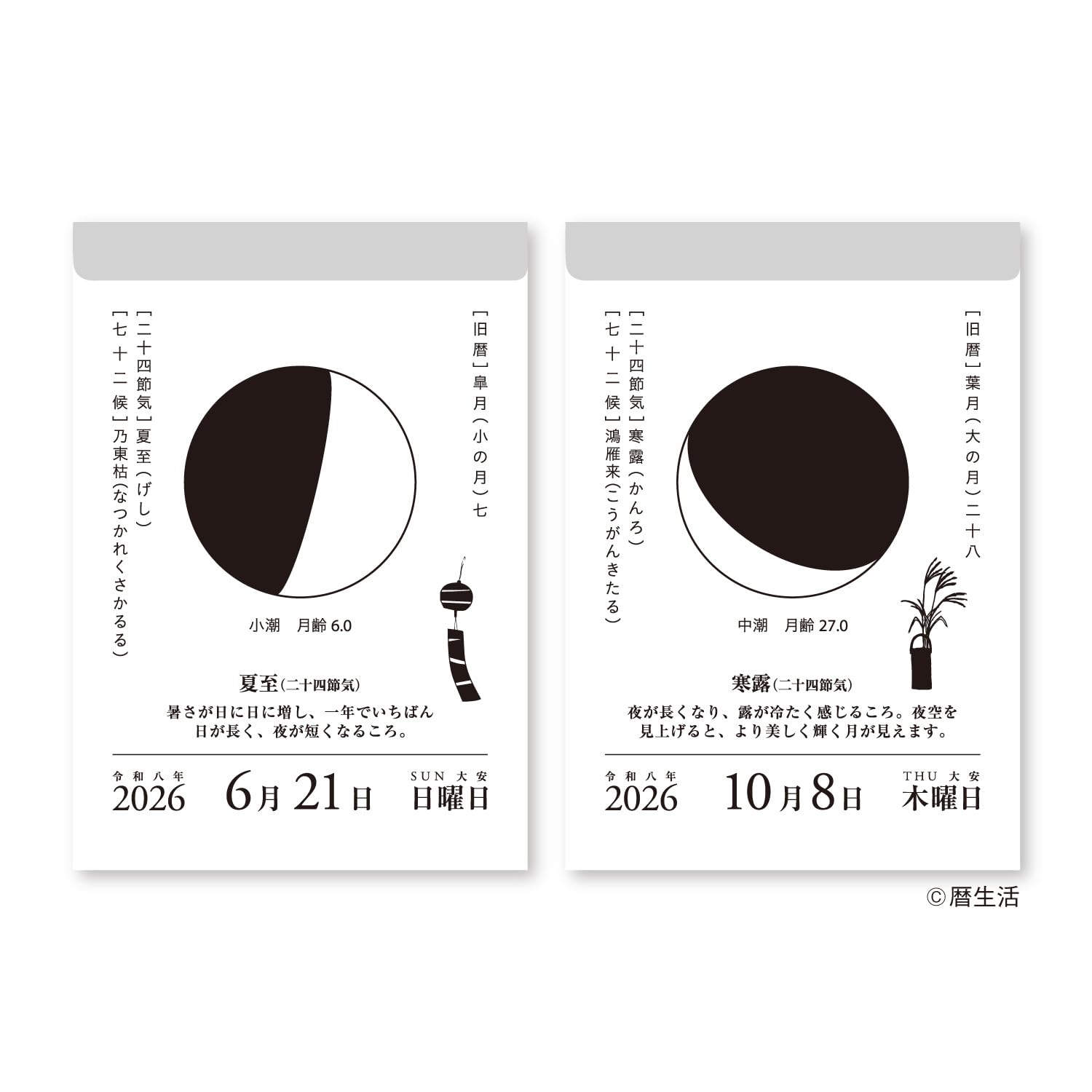 Amazon | 新日本カレンダー 2026年 カレンダー 日めくり 月と暦 NK8812