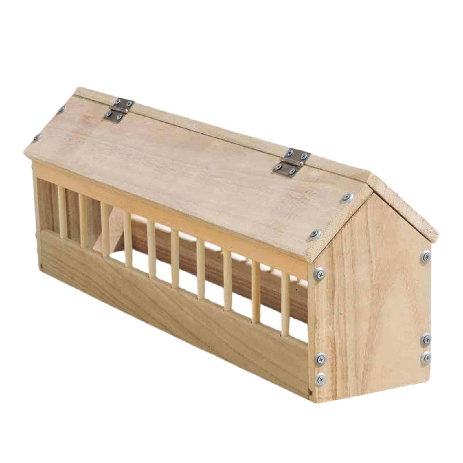 Fenteer Comedero para Palomas, dispensador de Aves, comedero para Aves, para Aves, Plato para, 60cm